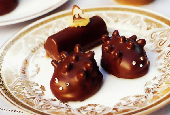 Hedgehogs
