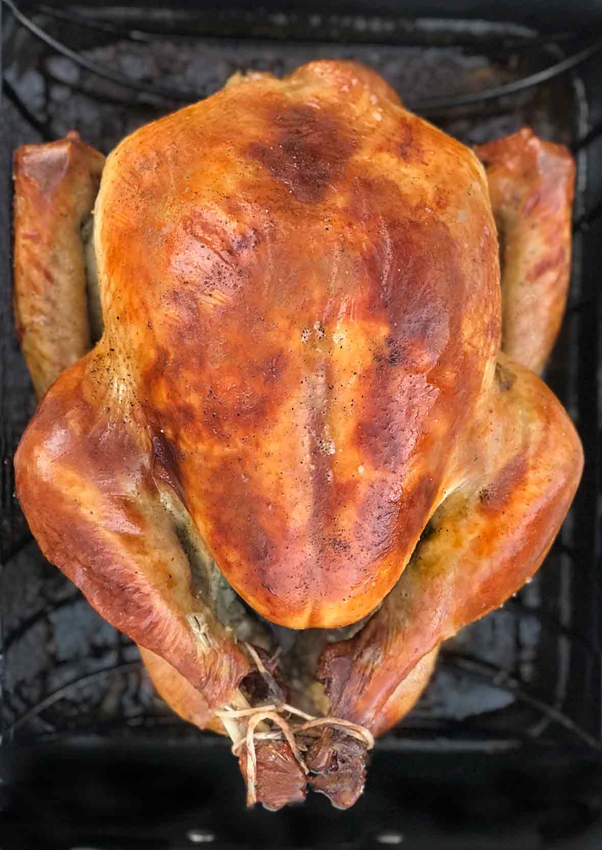 A perfect roast turkey on a rack in a roasting pan.
