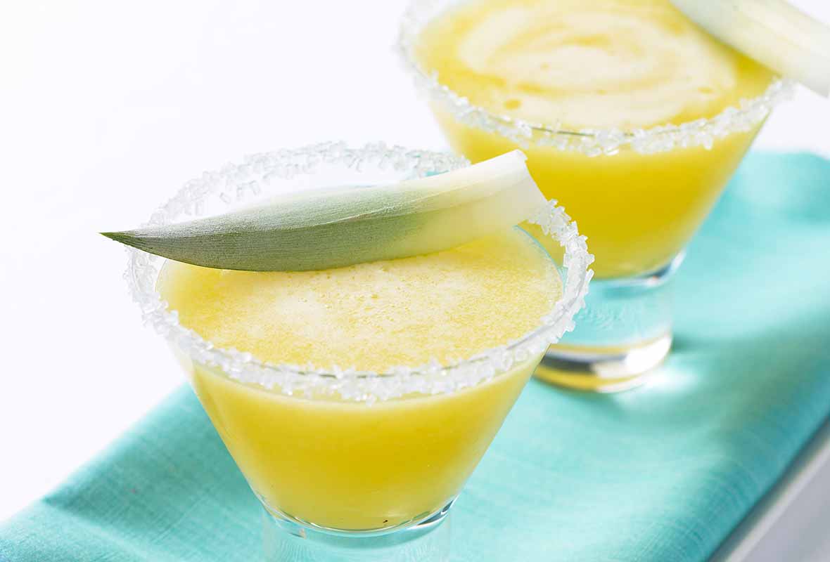 Pineapple Tequila Smoothie Recipe Leite S Culinaria,Red Ants With Wings In House
