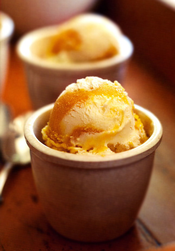 Toasted Coconut Ice Cream