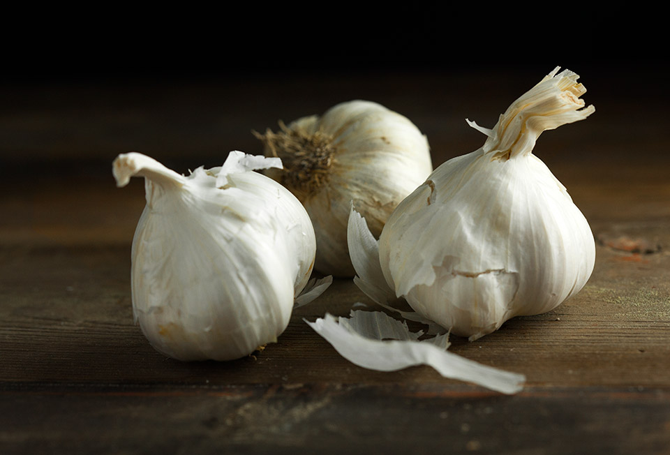 Garlic