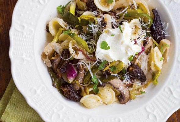Two white ceramic bowls filled with orecchiette with morel mushrooms and ramps and a dollop of mascarpone.