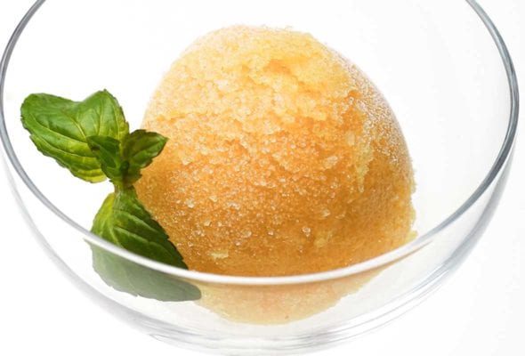 A cocktail glass with a scoop of summer tomato sorbet and a sprig of basil for garnish.