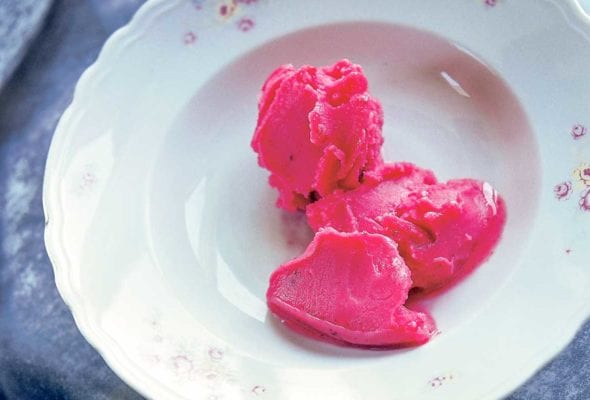 A few dollops of cranberry sorbet in a white porcelain bowl.