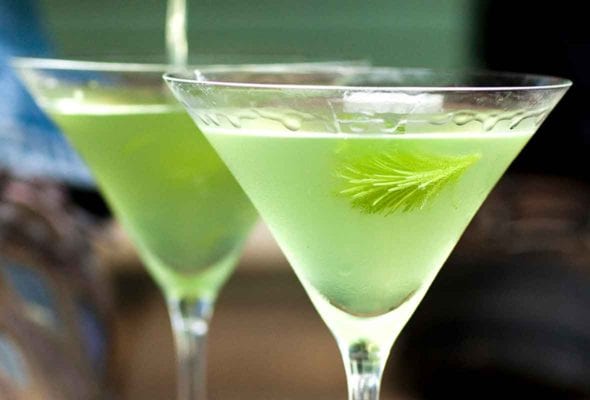 Two martini glasses filled with spruce needle vodka with a spruce sprig floating in each glass.