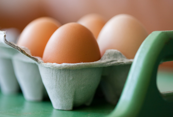 Eggs in Carton