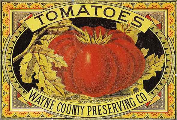 Simple Tomato Sauce