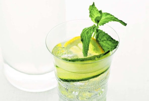 A glass of lemon-cucumber cocktail with a sprig of mint, a lemon wheel, and a slice of cucumber.