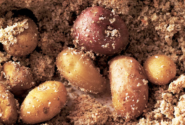 Salt Roasted Potatoes