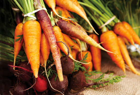 Fresh Carrots and Beets