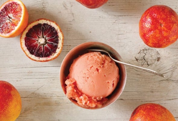 Blood Orange Sorbet