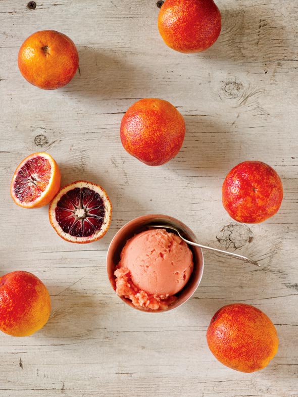 Blood Orange Sorbet