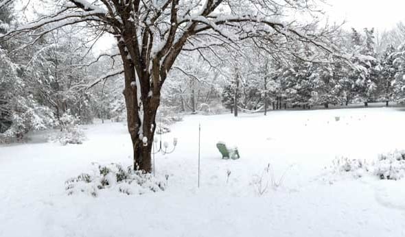 Snow, Snow, Snow Snow, Snow, Snow