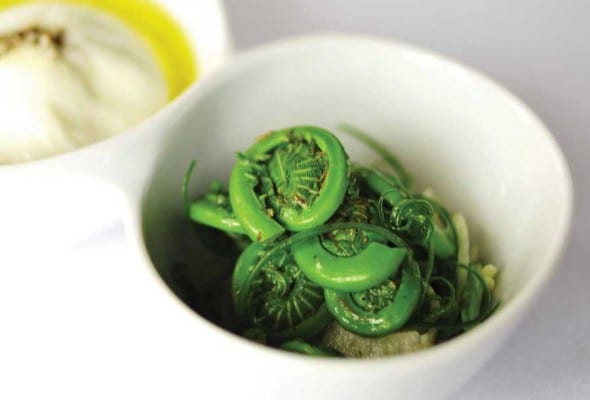 Fiddlehead and Burrata Salad