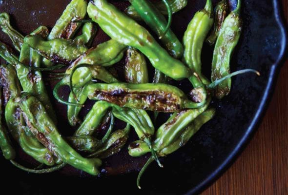Sautéed Shishito Peppers