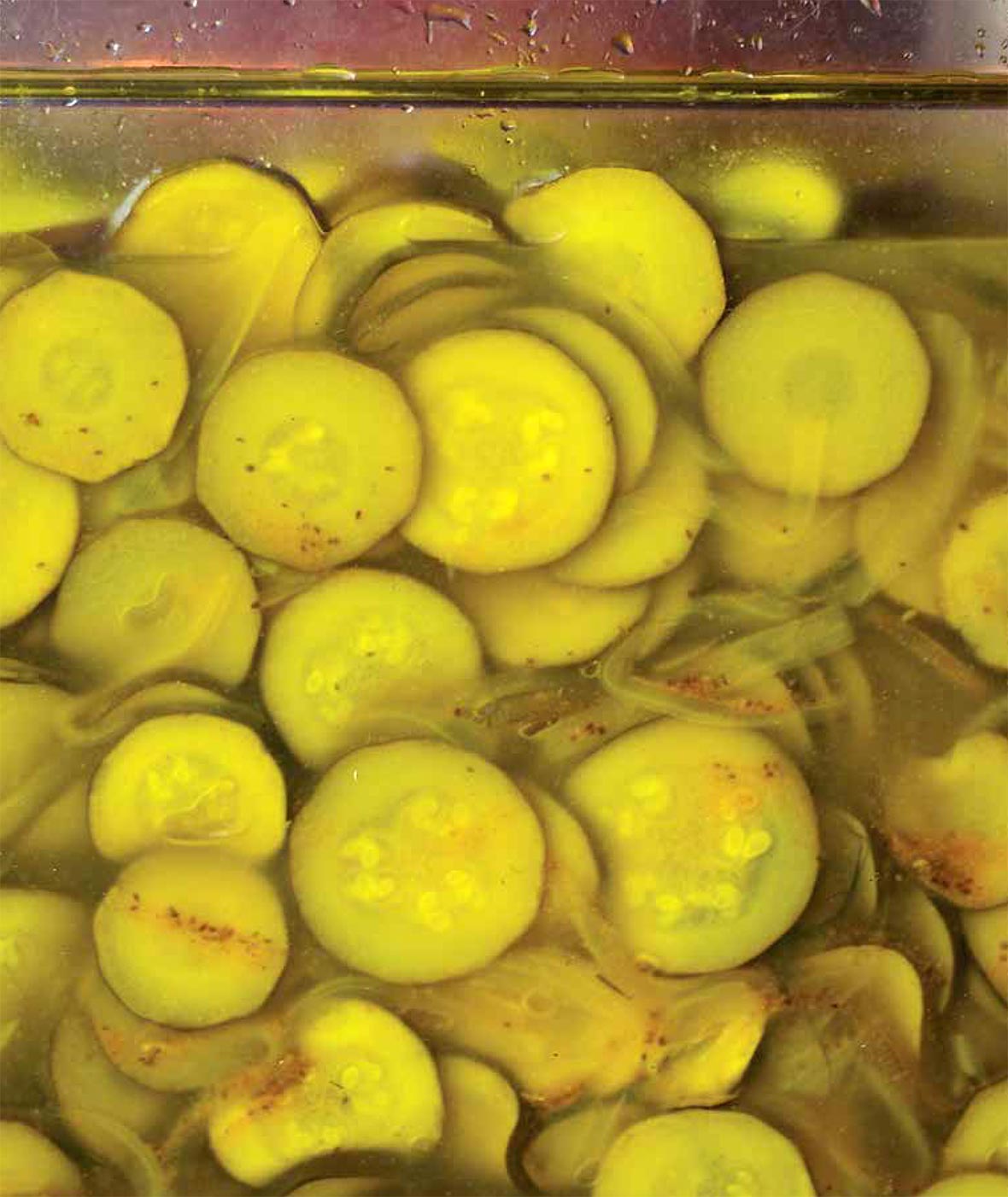 A close up view of a full jar of pickled zucchini.