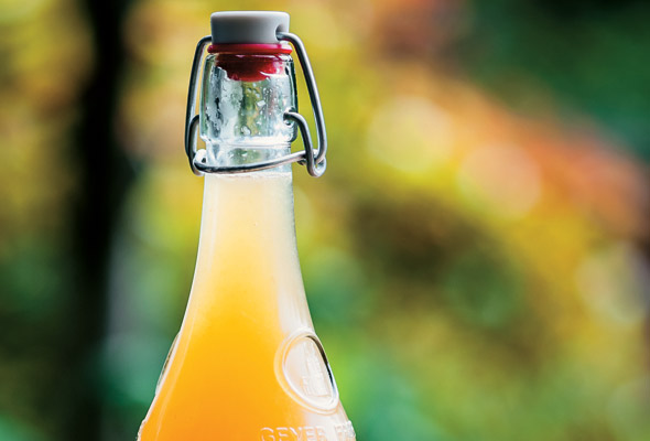 Homemade Lemonade