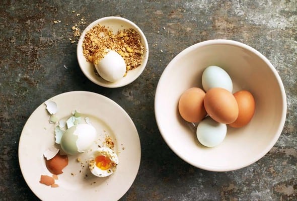 Dukkha with Eggs