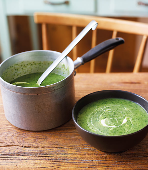 Watercress Soup