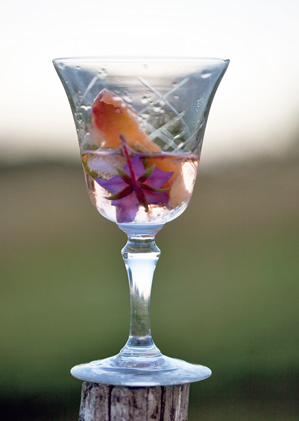 A crystal wine glass half full of campari cocktail with a couple flowers inside.