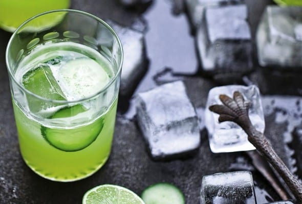 Cucumber Gimlet