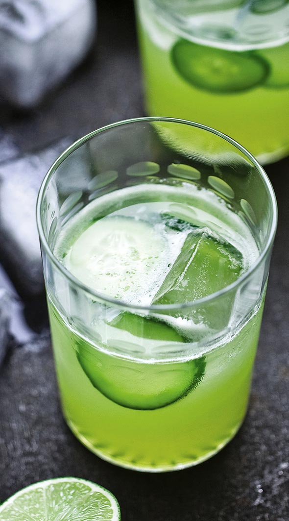 Two glasses of cucumber gimlet with ice and cucumber slices.
