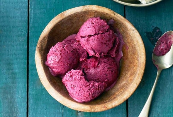 Blueberry Frozen Yogurt
