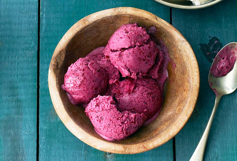 Blueberry Frozen Yogurt