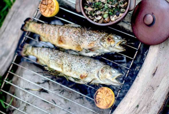 Two whole grilled trout, stuffed with rosemary on a grill over open coals with a dish of mushrooms and a couple halved lemons on the side.