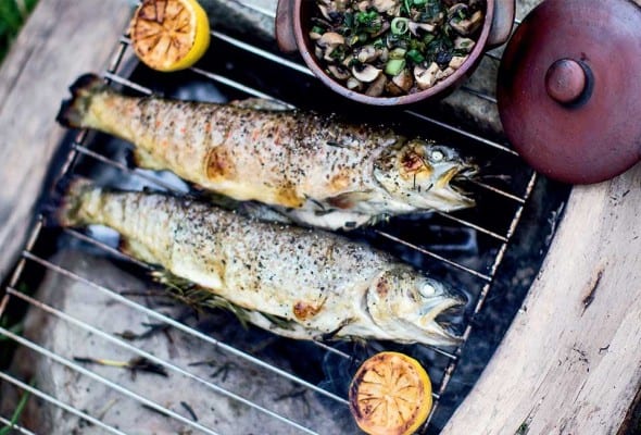 Grilled Trout