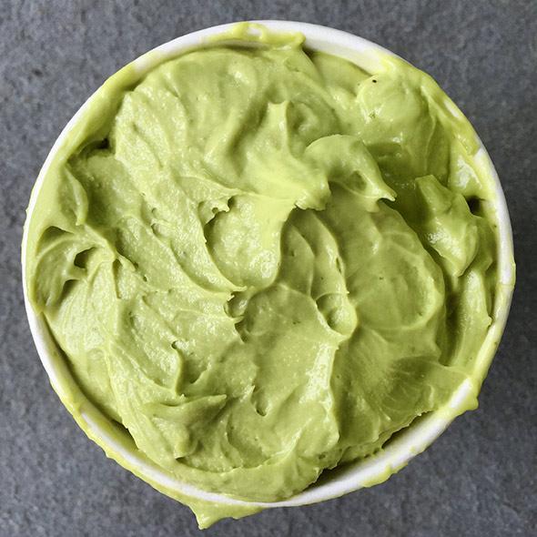 Avocado Sorbet