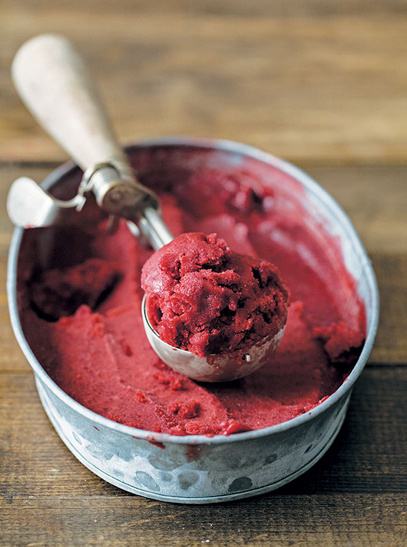 Fruit Sorbet