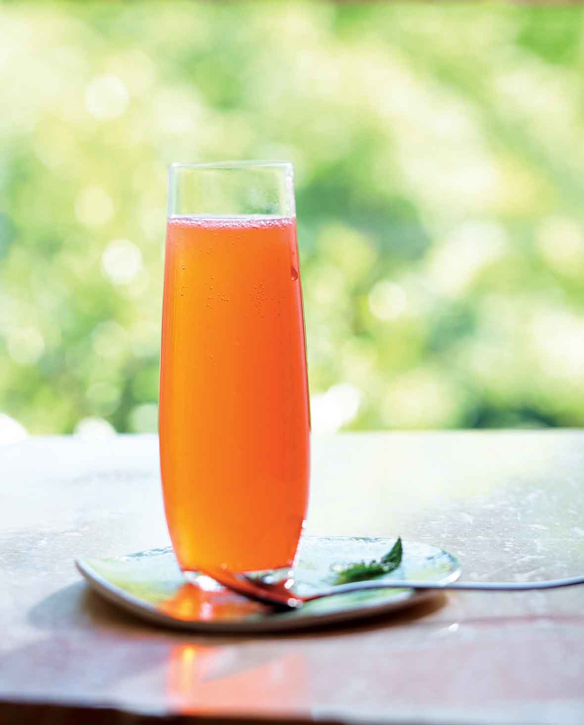 Fruit Shrub