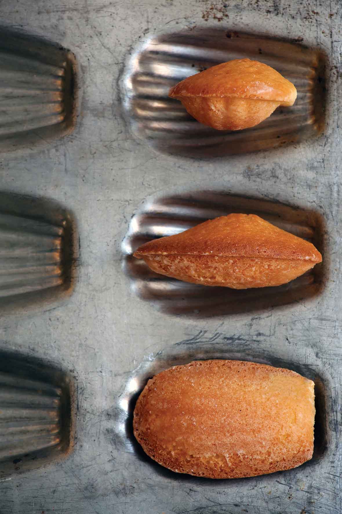 Orange Madeleines with Orange Glaze