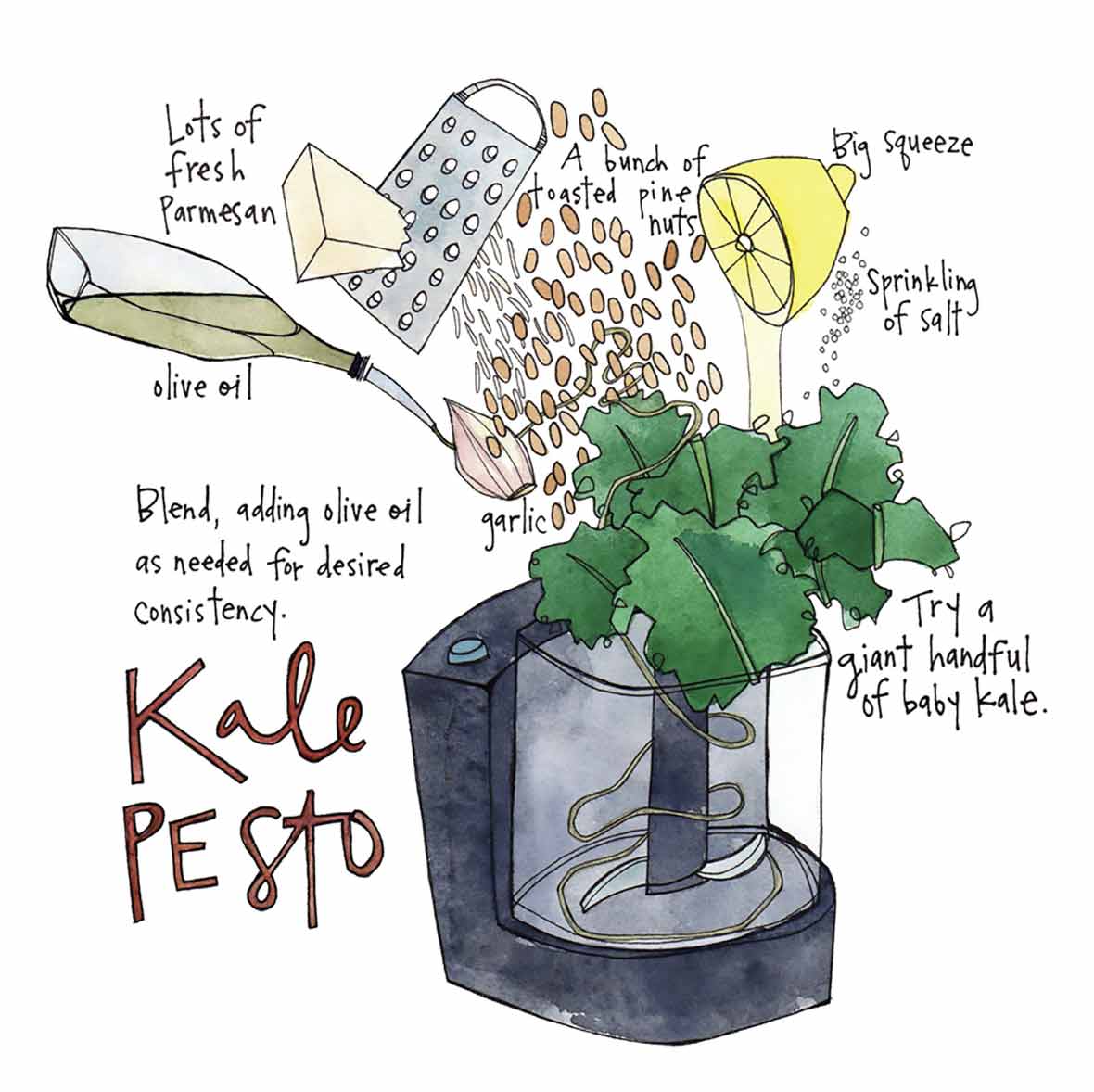 An illustration of kale pesto ingredients being added to a food processor