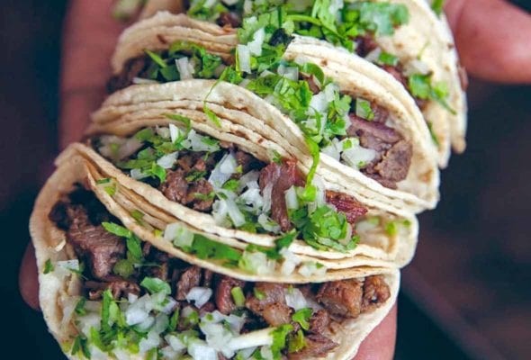 Man's hand holding four beef tongue tacos, or taquitos de lengua, filled with cubed meat, onions, cilantro