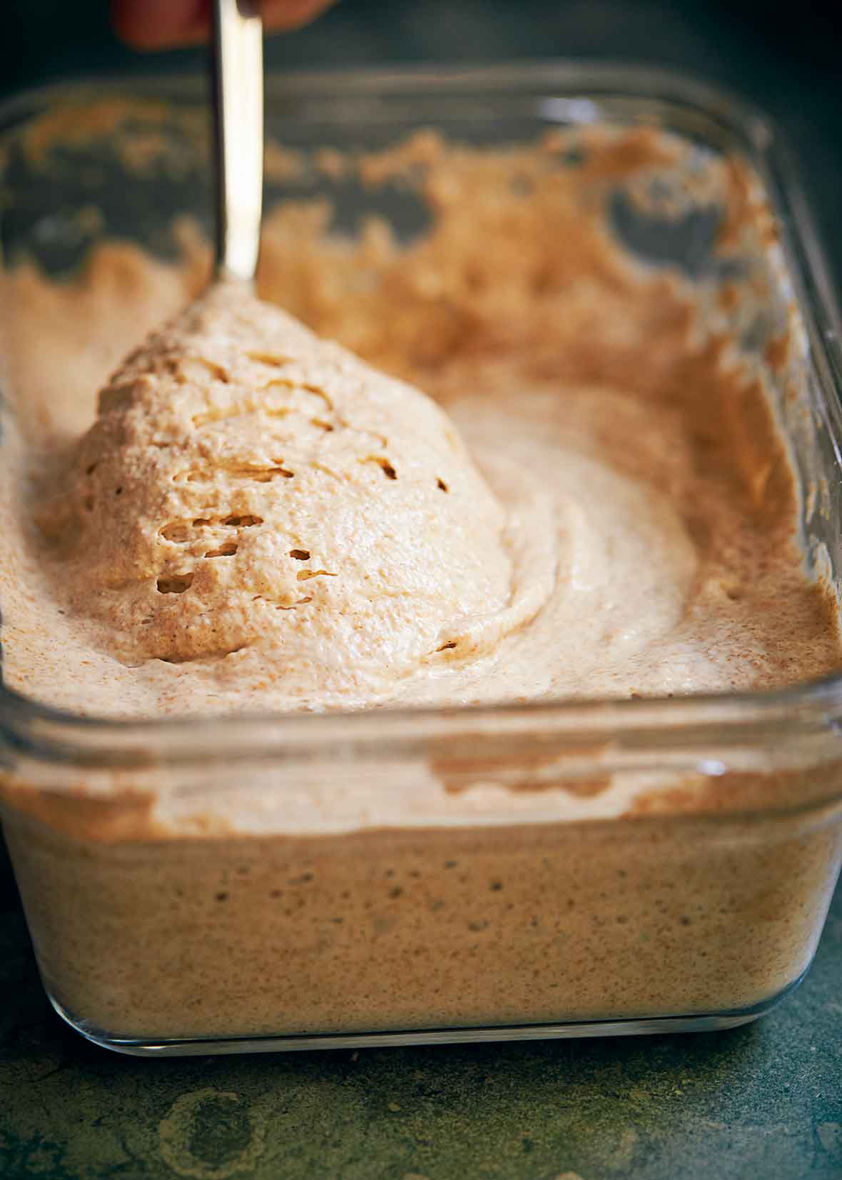Sourdough Starter