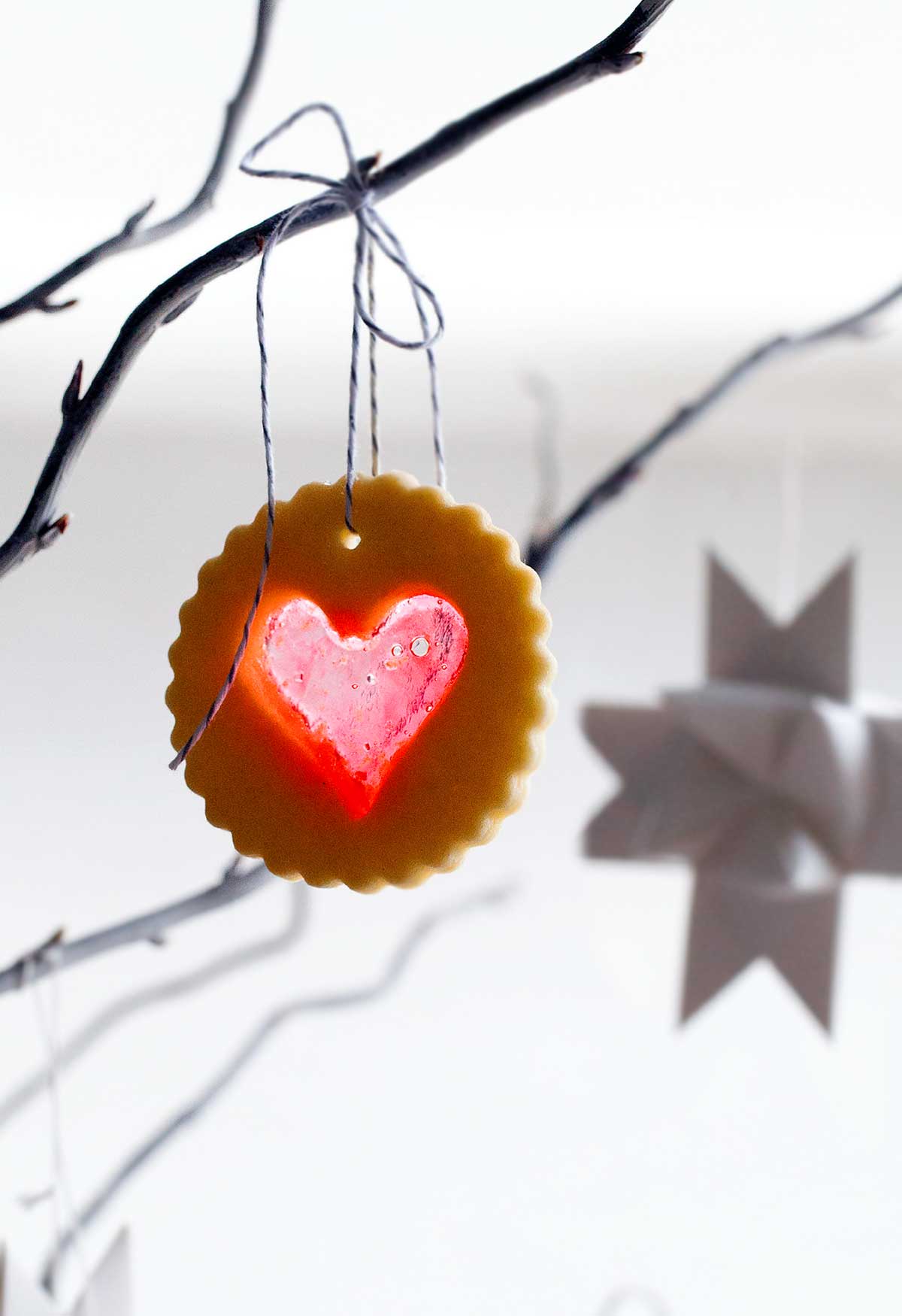 A scalloped round sugar cookie with a heart-shaped windowpane cutout hanging form a tree branch