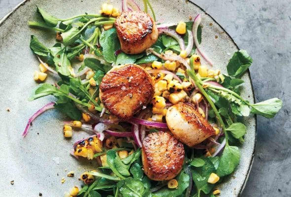 Plate of butter-basted seared scallops on a salad of watercress and sweet corn