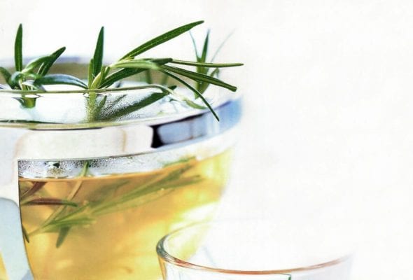 A pot of rosemary infused tea with rosemary sprigs sticking out the top and a glass beside it.
