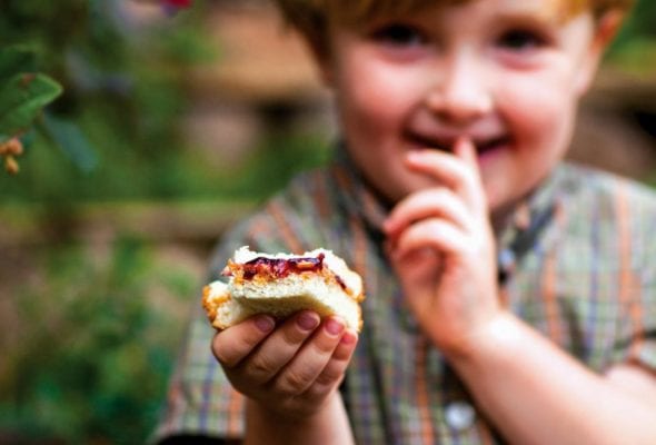 A small boy holding a partially eaten peanut butter and concord grape jam sandwich.