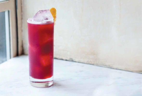 A tall, cool pink Kitty highball, filled with ice, and sporting a lemon slice