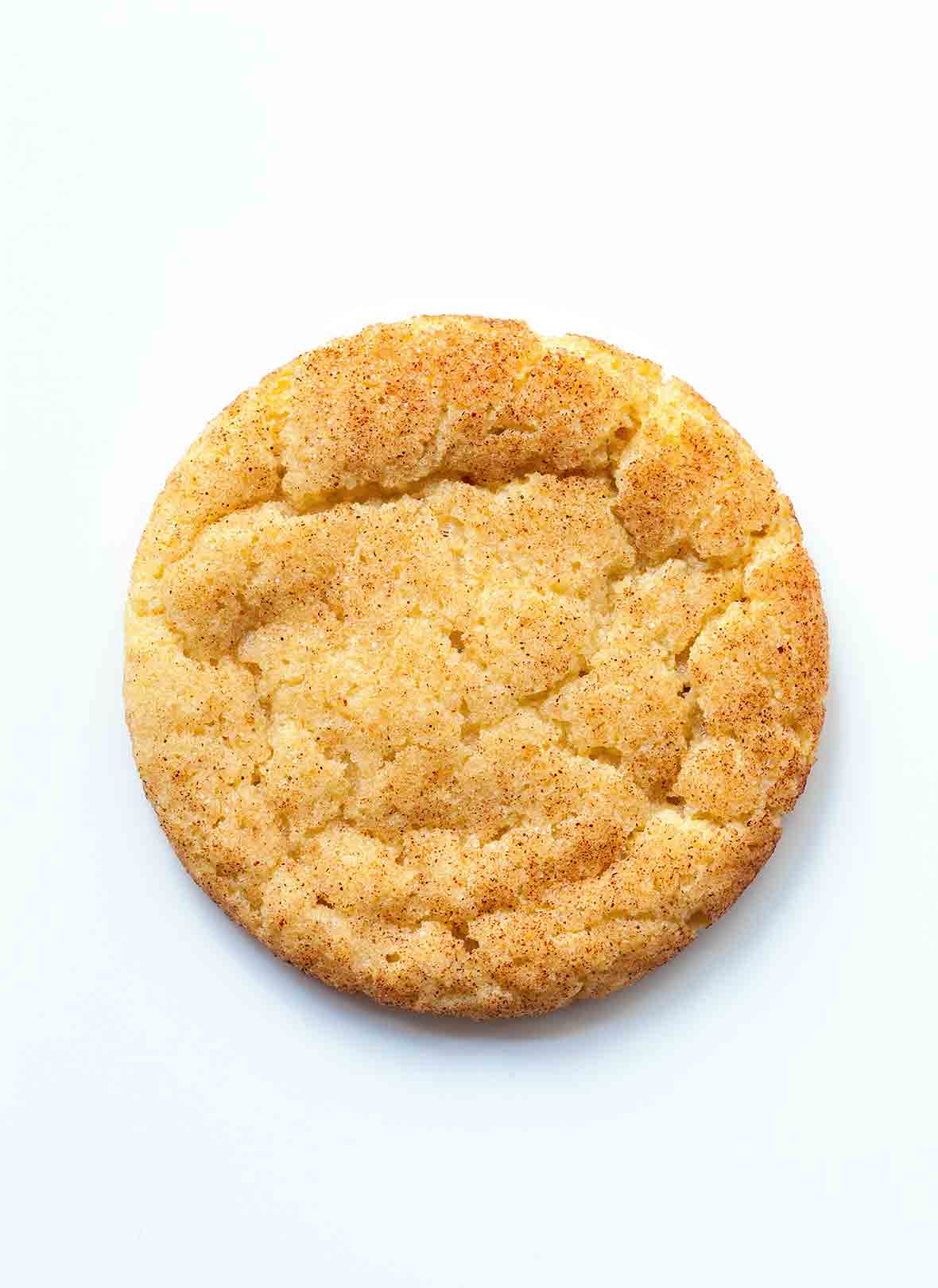 An overhead view of a single snickerdoodle.