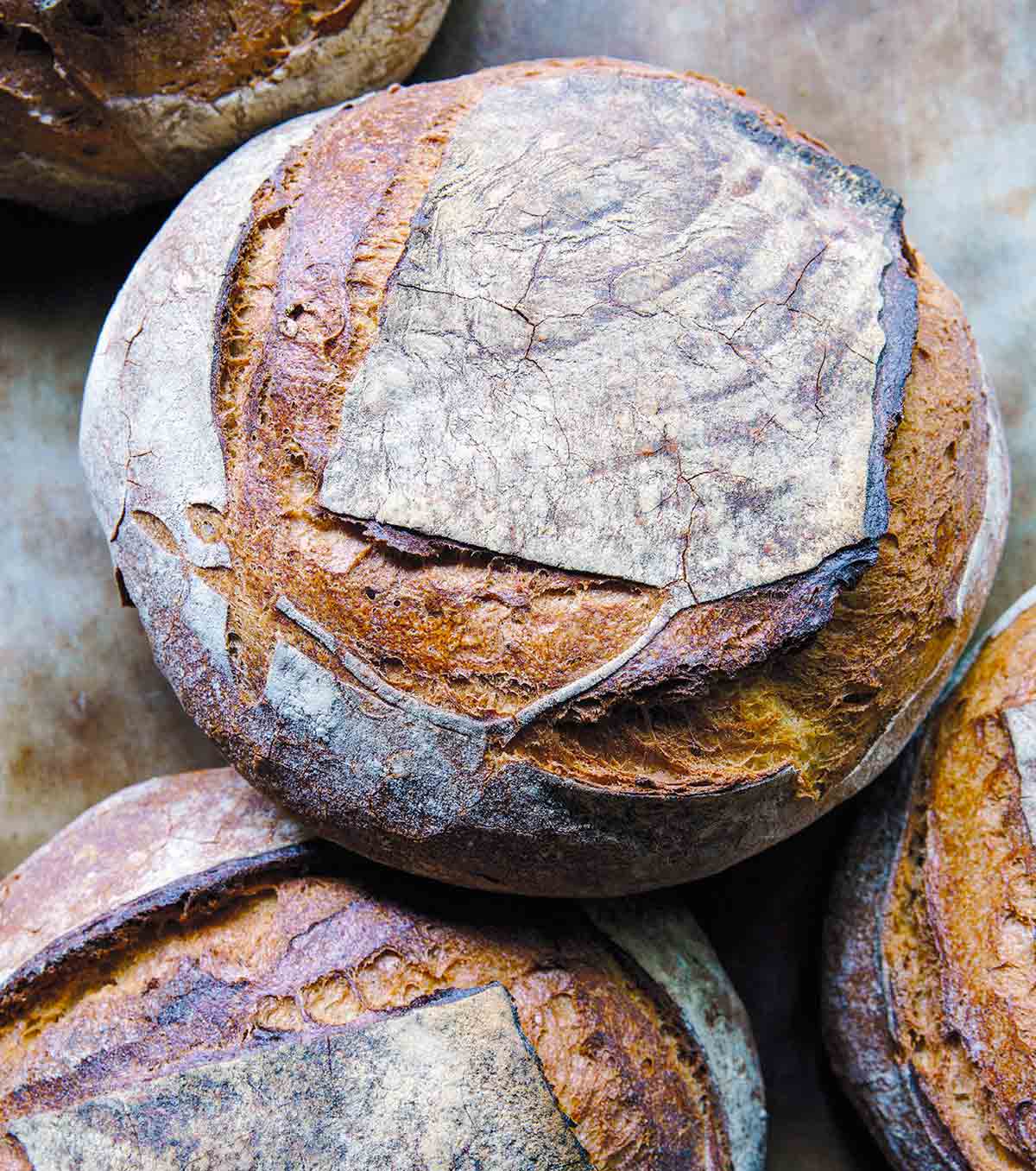 Three boules of pain au levain (French-style sourdough).