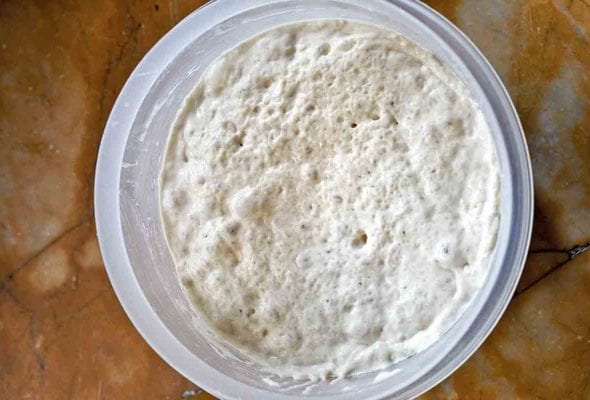 A plastic container of homemade Italian biga.