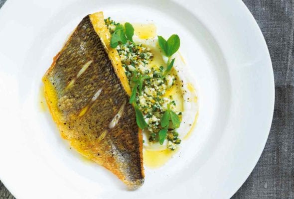 A piece of pan-fried fish on top of cauliflower "couscous" and cauliflower puree on a white plate.