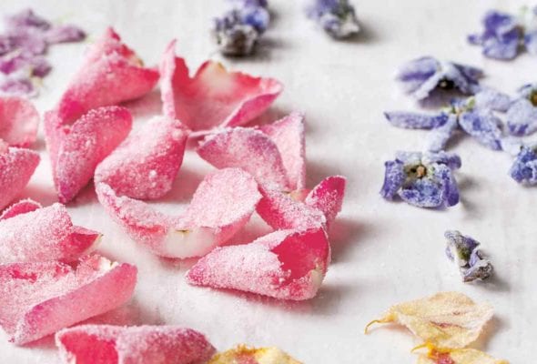 Several varieties of crystallized flowers scattered across a white surface.