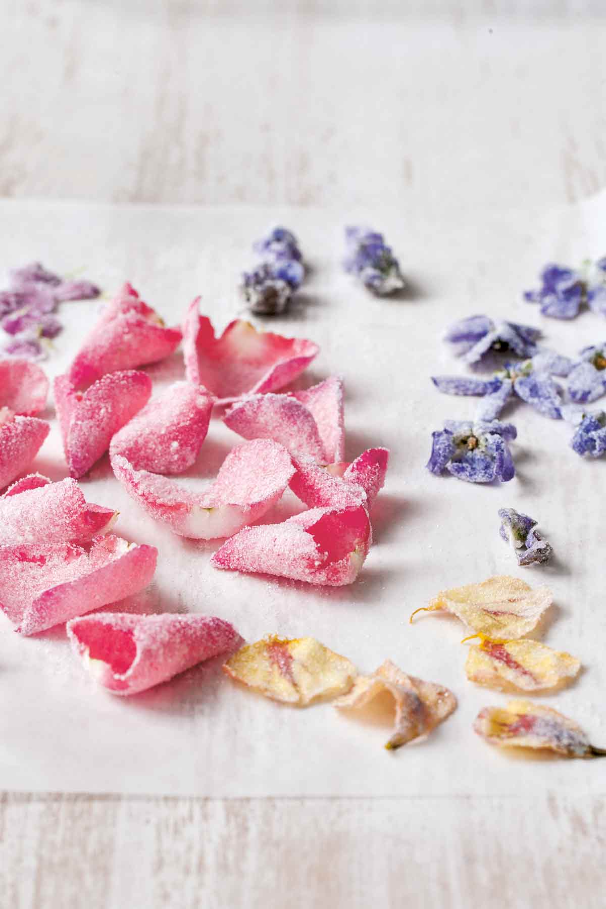 Several varieties of crystallized flowers scattered across a white surface.