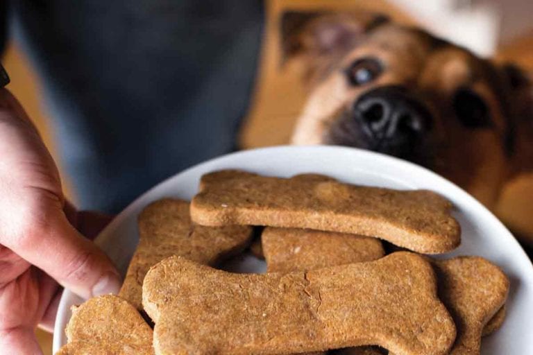 diy filling for dog bones