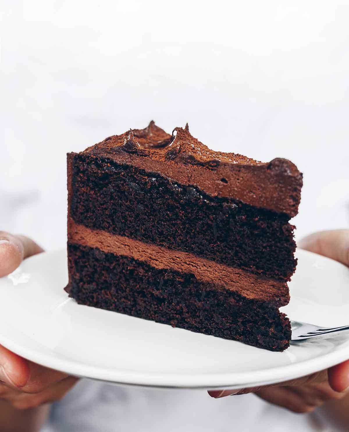 A person holding a plate with a slice of basic chocolate cake on it.